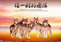 【德國(guó)KHC鎢鋼銑刀】如何打造狼性銷售團(tuán)隊(duì)