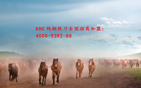 德國數(shù)控鎢鋼銑刀
